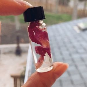 Self Love Oil Oil (Regular Top, 1 dram)